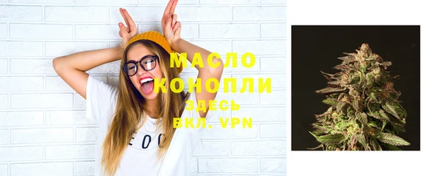 индика Михайловск