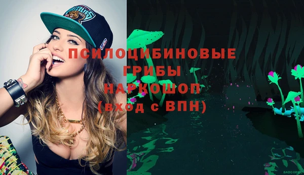 индика Михайловск