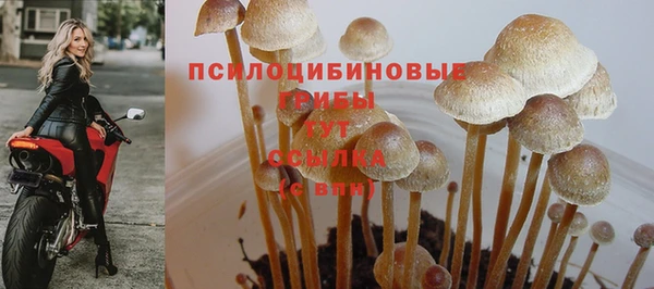 метадон Бердск