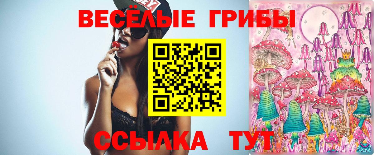 Псилоцибиновые грибы Psilocybine cubensis  Карасук 