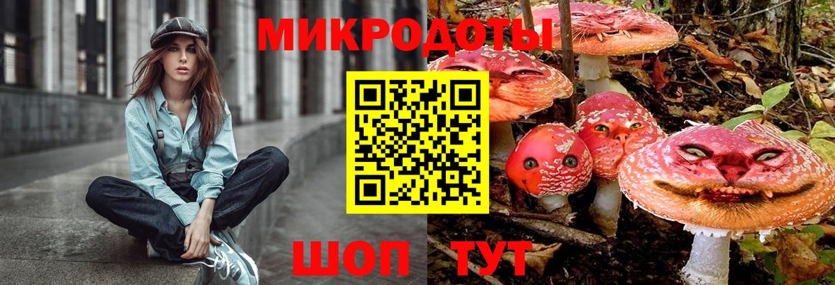 Карасук  Галлюциногенные грибы Psilocybe  Вход с VPN 