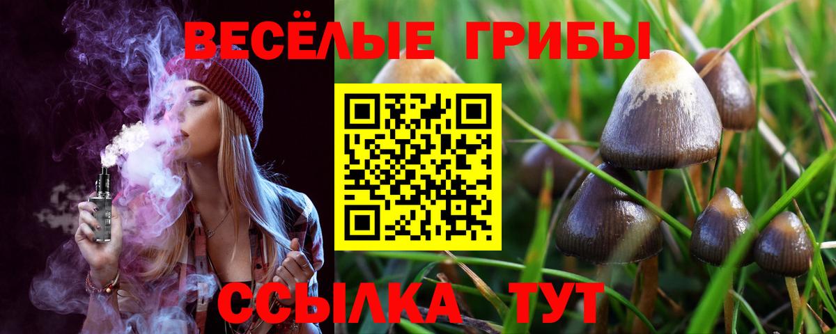 Галлюциногенные грибы мицелий Карасук
