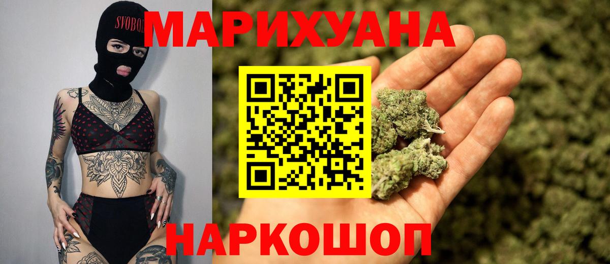 Конопля планчик  Каннабис индика  Карасук  Вход с VPN  МАРИХУАНА семена 